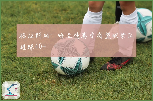 格拉斯纳：哈兰德赛季有望破禁区进球40+