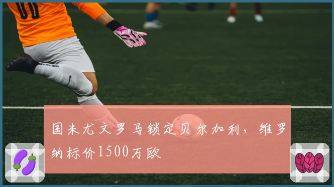 国米尤文罗马锁定贝尔加利，维罗纳标价1500万欧