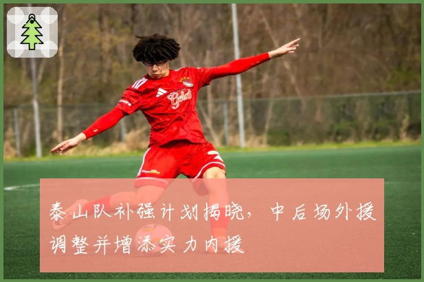 泰山队补强计划揭晓，中后场外援调整并增添实力内援